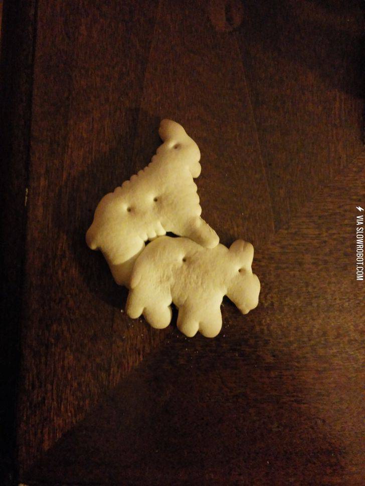 So+found+this+with+my+other+animal+crackers