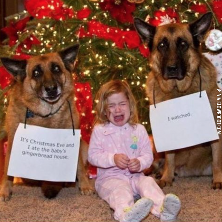 When+dogs+ruin+Christmas.