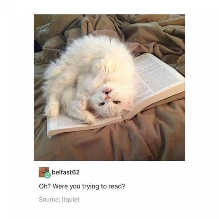 My+reading+over+the+holidays