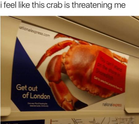 I+Feel+Like+This+Crab+Is+Threatening+Me%26%238230%3B