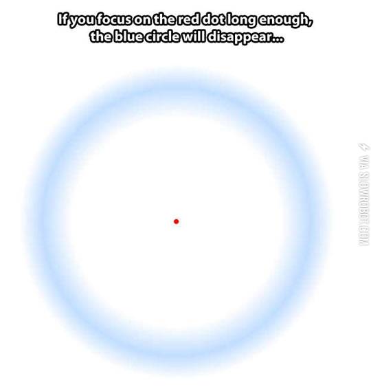 What+sorcery+is+this%3F