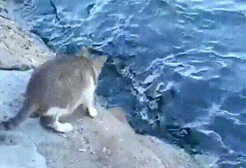 %26quot%3BThey+will+make+poems+about+me%26quot%3B