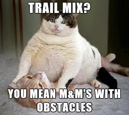 Trail+Mix%3F