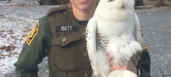 Smug+Superb+Criminowl+in+custody%2C+but+ain%26%238217%3Bt+no+snitch.