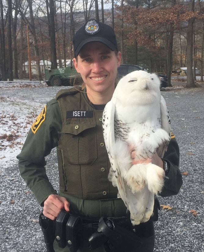 Smug+Superb+Criminowl+in+custody%2C+but+ain%26%238217%3Bt+no+snitch.