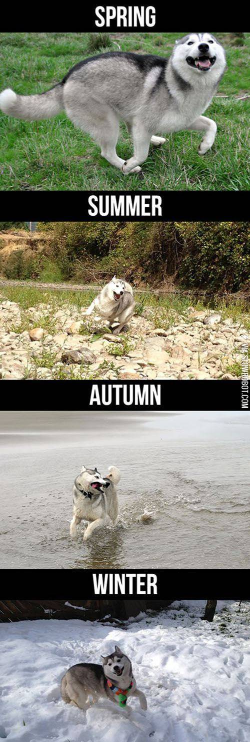 A+derp+for+all+seasons.
