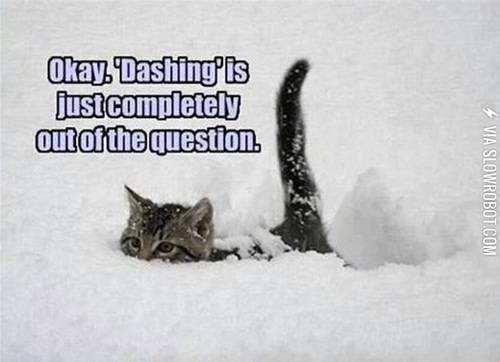 Dashing+through+the+snow%2C+as+a+cat.