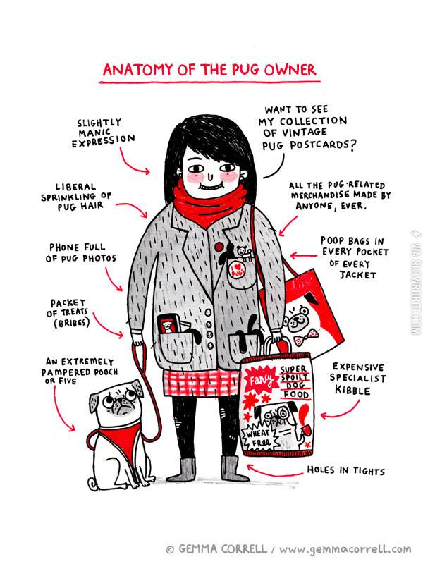 Anatomy+of+the+pug+owner.