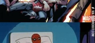 Poor+Spiderman.