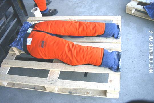 good+for+chainsaws%26%238230%3Bbetter+for+cats