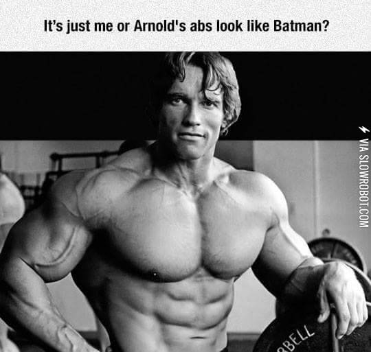 It%26%238217%3Bs+just+me+or+Arnold%26%238217%3Bs+abs+look+like+Batman%3F