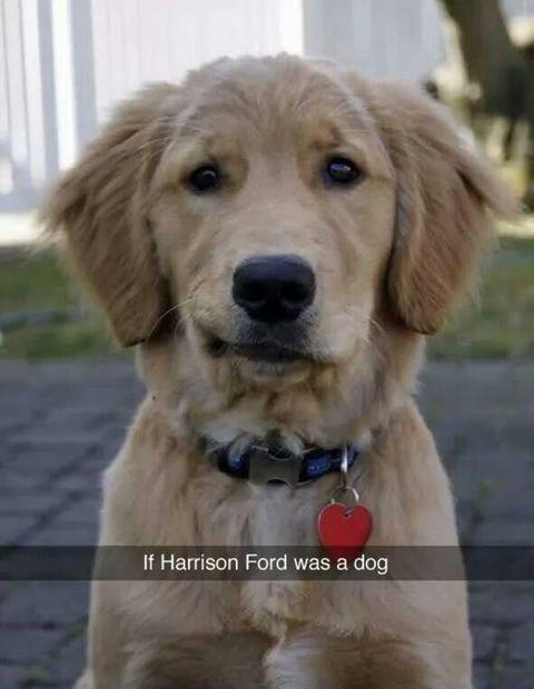 The+resemblance+is+uncanny