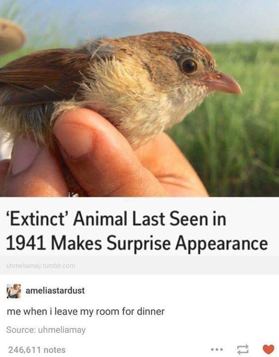 Oh%2C+you%26%238217%3Bre+still+here%3F