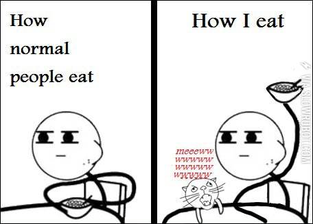 What+it%26%238217%3Bs+like+owning+cats.