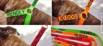A+good+idea+for+dog+owners