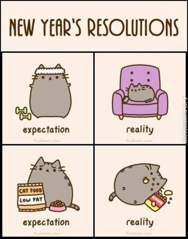 Expectation+vs.+reality+in+the+new+year.