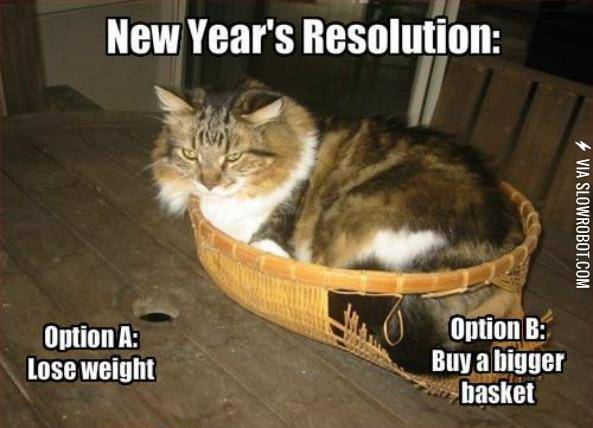 I+think+I%26%238217%3Bll+go+with+Option+B.