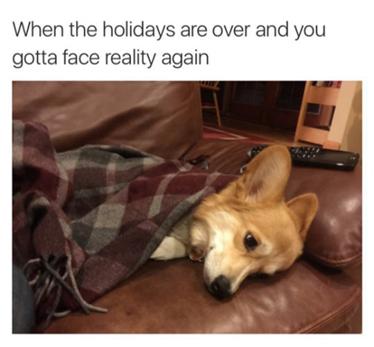 When+The+Holidays+Are+Over