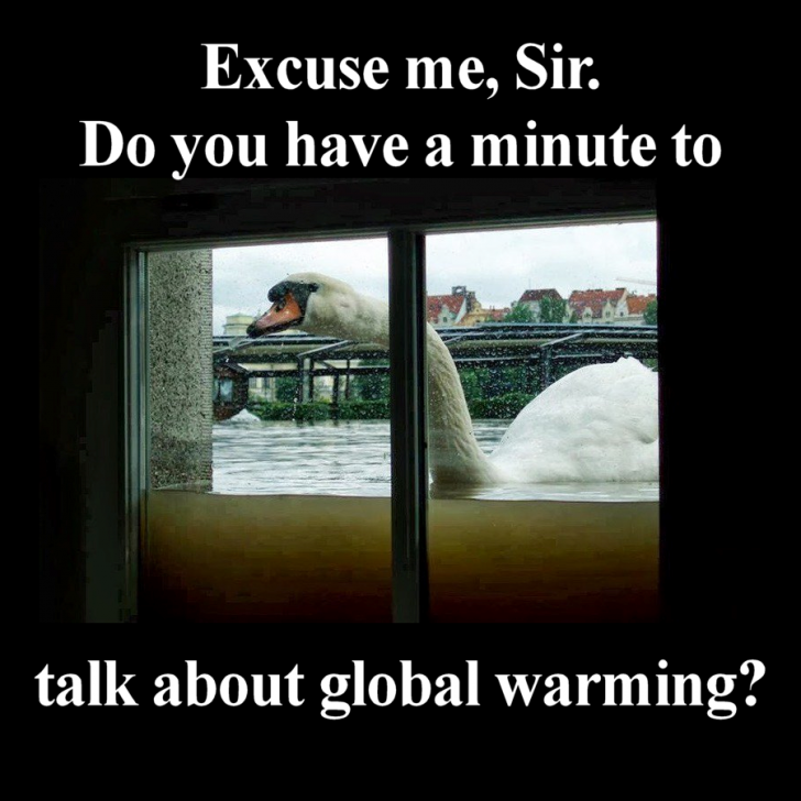 Excuse+me%2C+Sir%26%238230%3B..