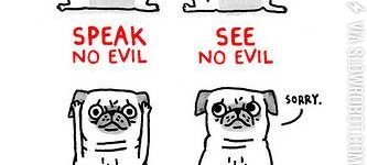 Speak+no+evil%2C+see+no+evil%2C+hear+no+evil%2C+smell%26%238230%3B.