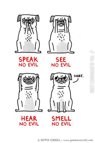 Speak+no+evil%2C+see+no+evil%2C+hear+no+evil%2C+smell%26%238230%3B.