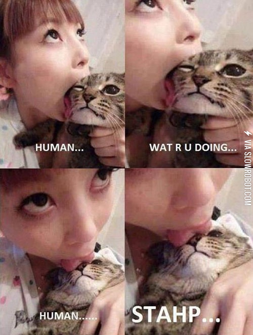 Human+stahp