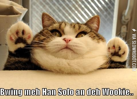 jabba+the+cat
