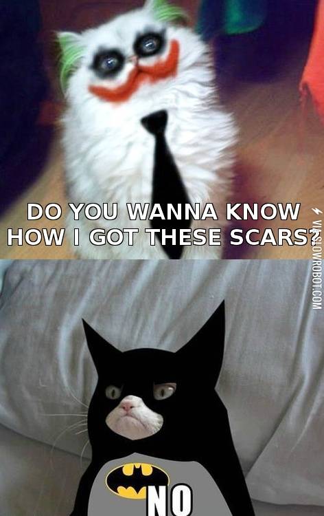 Joker+kitty+vs.+Batman+kitty.