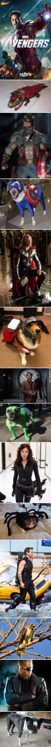 The+Avengers+and+their+animal+counter+parts.