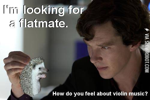 I%26%238217%3Bm+looking+for+a+flatmate.