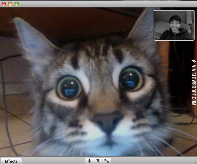 Human+how+did+you+get+stuck+in+the+butt+warming+machine%3F