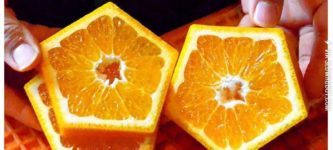 Pentagonal+Oranges