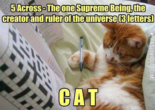 Why+isn%26%238217%3Bt+this+crossword+working+out%26%238230%3B%3F