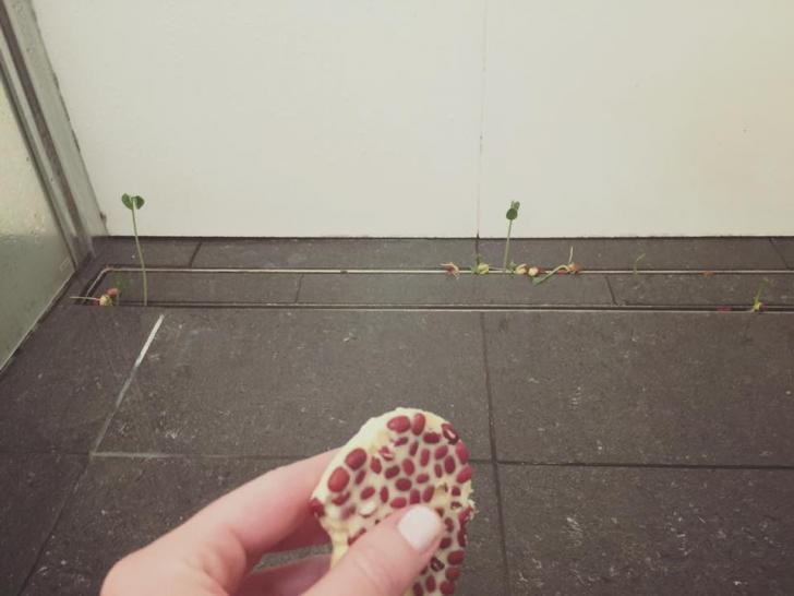 I+should+probably+stop+using+seeded+soap+in+the+shower