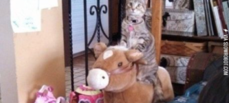 Cowgirl+kitty.