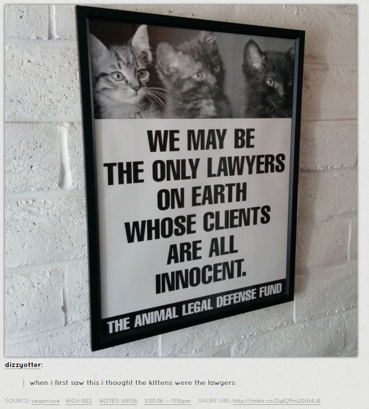 Fluffy%2C+Mittens+%26amp%3B+Socks