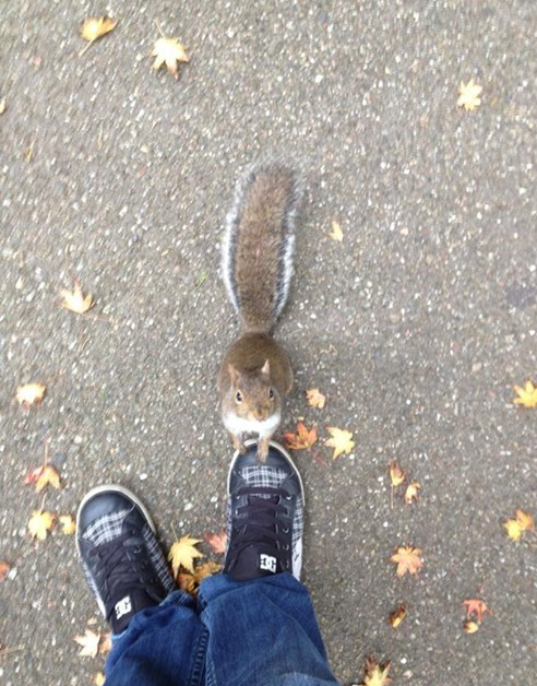 Are+you+going+to+eat+all+of+that%3F