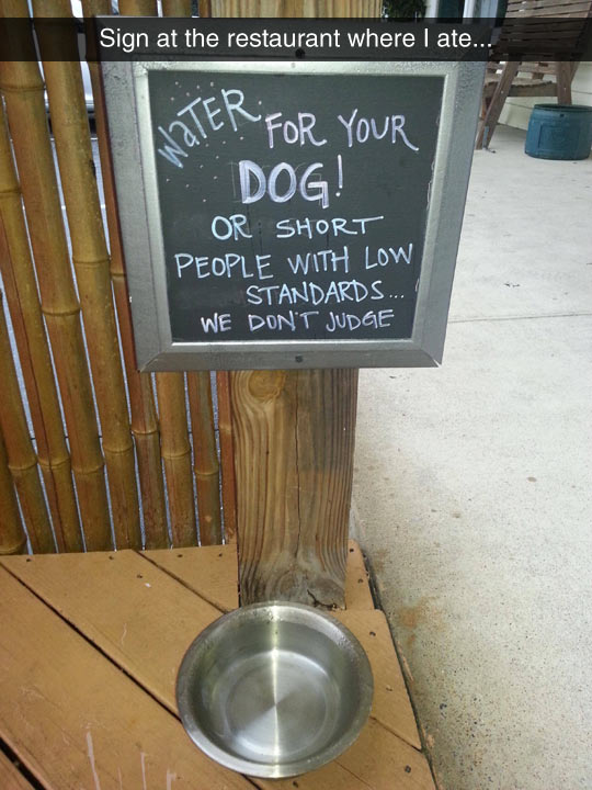 Some+Water+For+Your+Dog