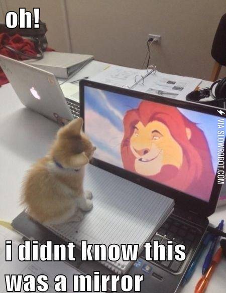 I+look+fabulous+today.