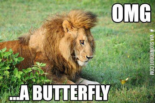 I+don%26%238217%3Bt+have+ADD%26%238230%3B+OH+LOOK%21