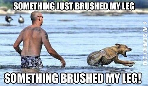 Whenever+I+go+swimming.