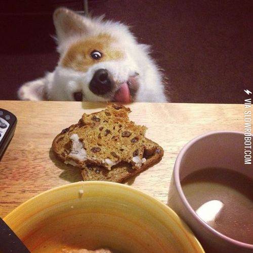 Approaching+maximum+derp.