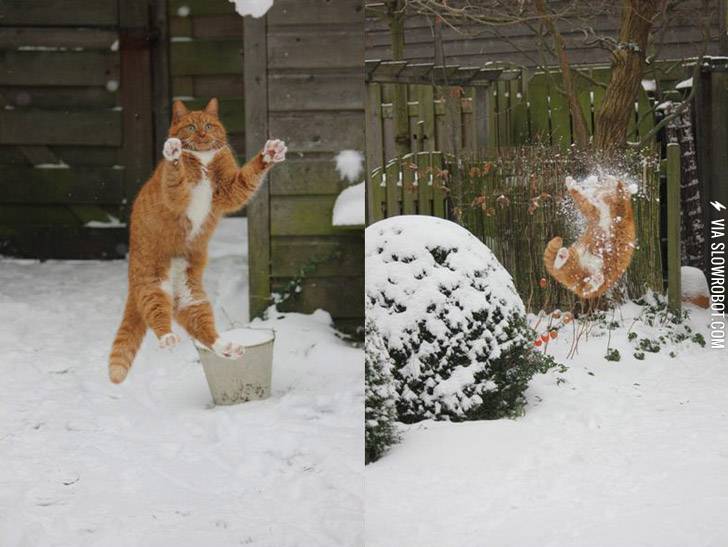 Bull%26%238217%3Bs+eye.