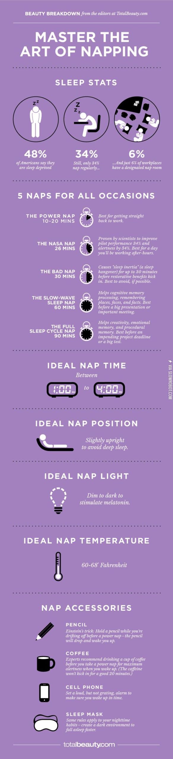 The+art+of+napping