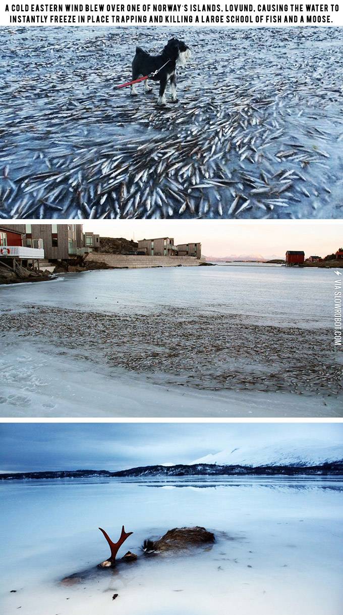 It%26%238217%3Bs+so+cold+in+Norway+that%26%238230%3B