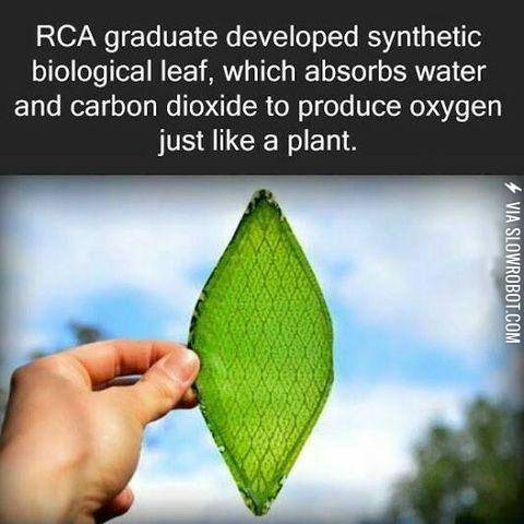 Why+aren%26%23039%3Bt+we+funding+this%3F