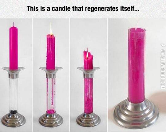 This+candle+regenerates+itself