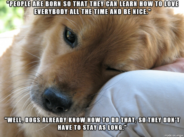 A+6-year-old+explaining+why+dogs+don%26%238217%3Bt+live+as+long+as+people