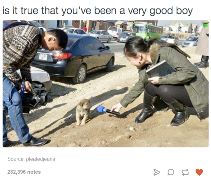 Who+is+a+good+boy%21%3F+%26lt%3B3