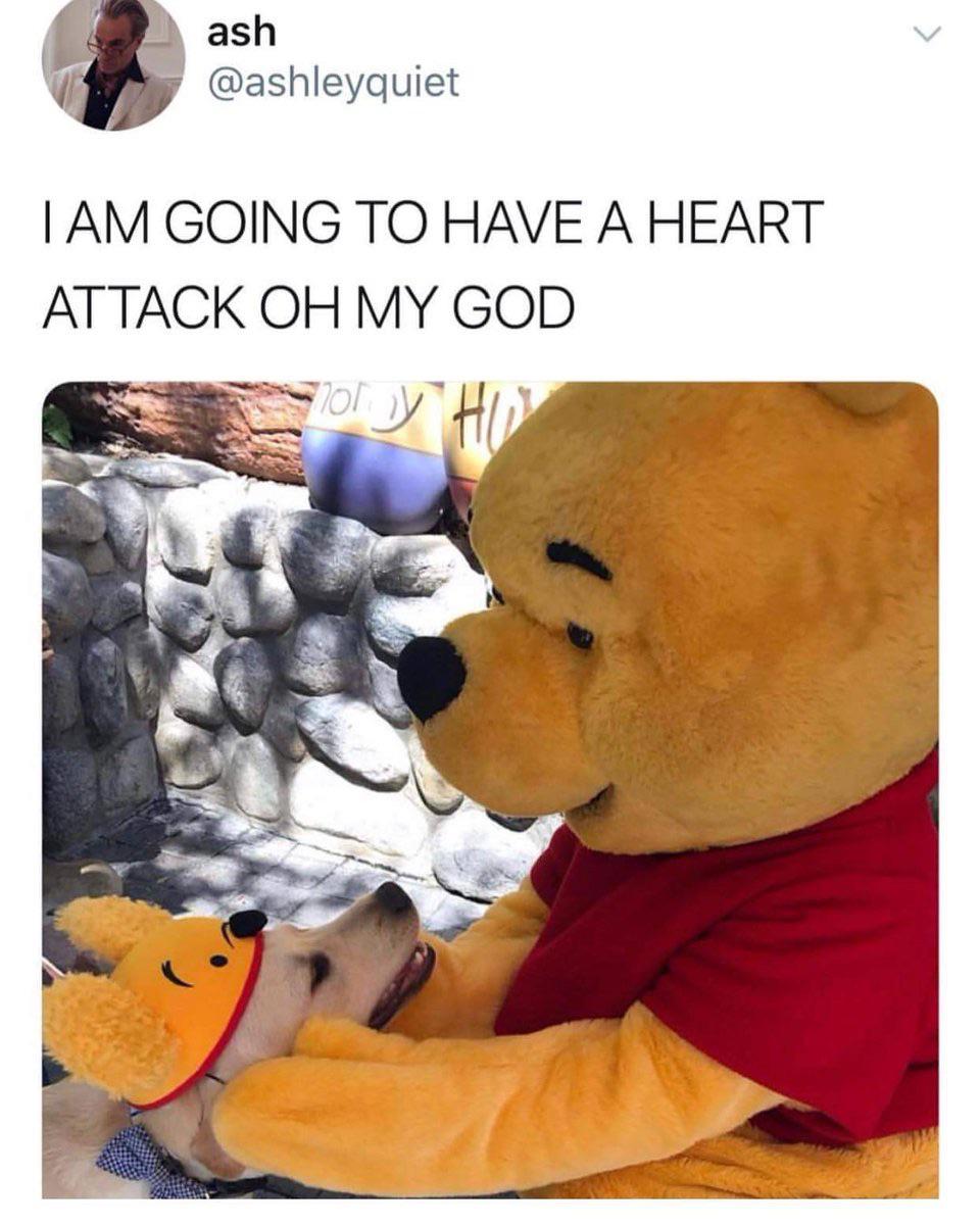 Winnie+the+Pooh%2C+and+Winnie+the+Pup